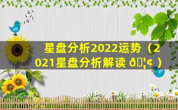 星盘分析2022运势（2021星盘分析解读 🦢 ）